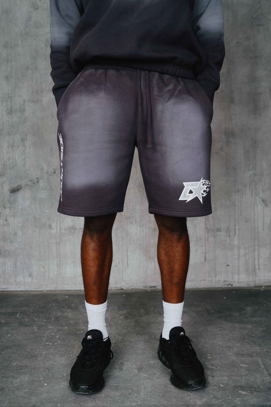 Ervin Short Washed Grey
